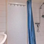 Ruime Luxe 4 Persoons Midden Op De Veluwe Апартаменты *