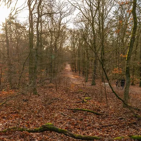Apartamento Ruime Luxe 4 Persoons Midden Op De Veluwe Hoenderloo
