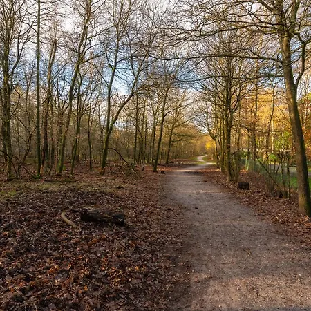 Apartman Ruime Luxe 4 Persoons Midden Op De Veluwe