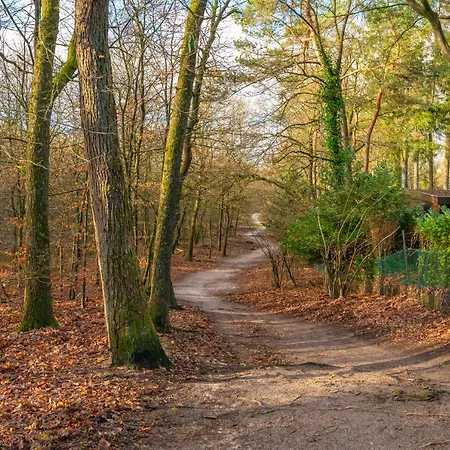 Ruime Luxe 4 Persoons Midden Op De Veluwe Appartement