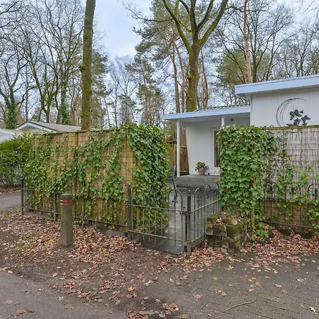 Ruime Luxe 4 Persoons Midden Op De Veluwe 헨덜루