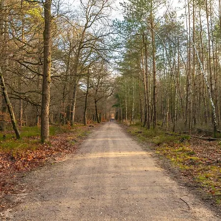 Ruime Luxe 4 Persoons Midden Op De Veluwe * Hoenderloo