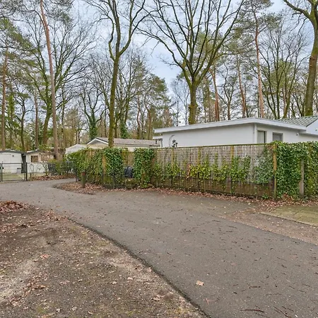 Ruime Luxe 4 Persoons Midden Op De Veluwe *