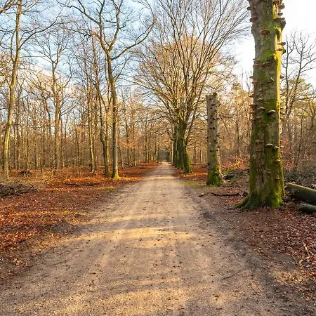 Appartement Ruime Luxe 4 Persoons Midden Op De Veluwe *
