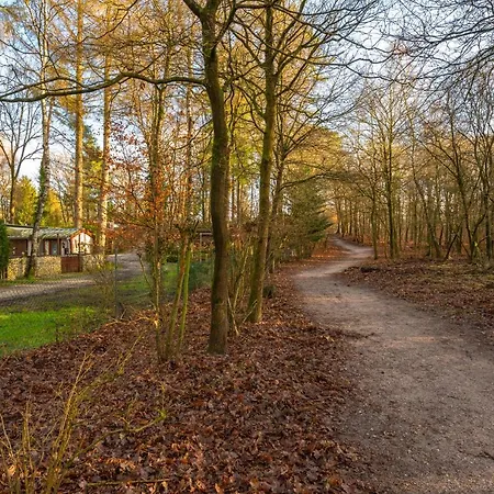 Lägenhet Ruime Luxe 4 Persoons Midden Op De Veluwe Hoenderloo