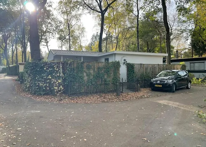 Ruime Luxe 4 Persoons Midden Op De Veluwe *