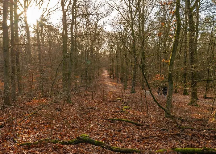 Apartman Ruime Luxe 4 Persoons Midden Op De Veluwe Hoenderloo
