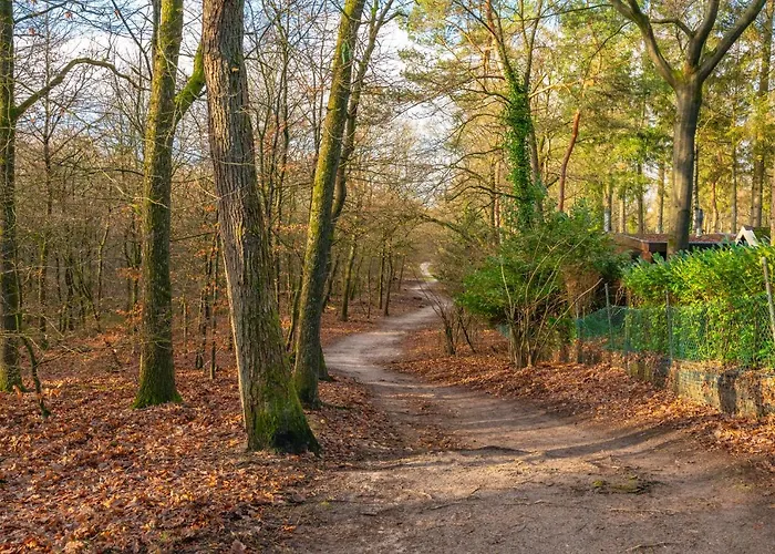 Ruime Luxe 4 Persoons Midden Op De Veluwe Apartment