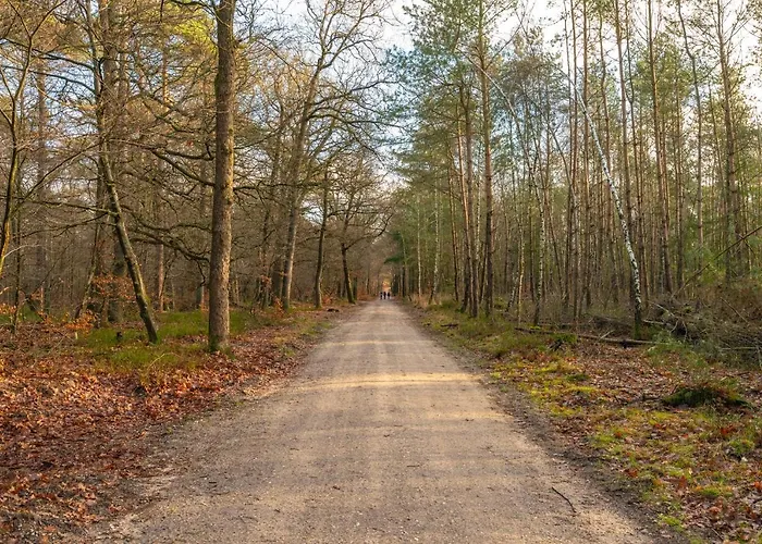 Ruime Luxe 4 Persoons Midden Op De Veluwe * Hoenderloo