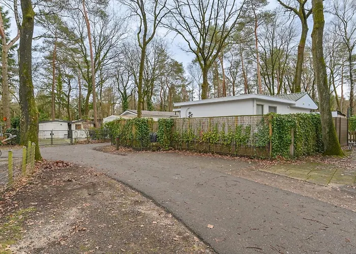 Ruime Luxe 4 Persoons Midden Op De Veluwe *