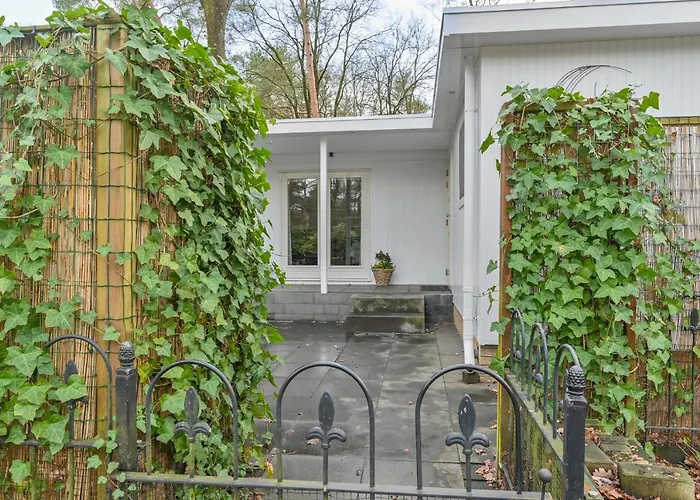 Ruime Luxe 4 Persoons Midden Op De Veluwe *