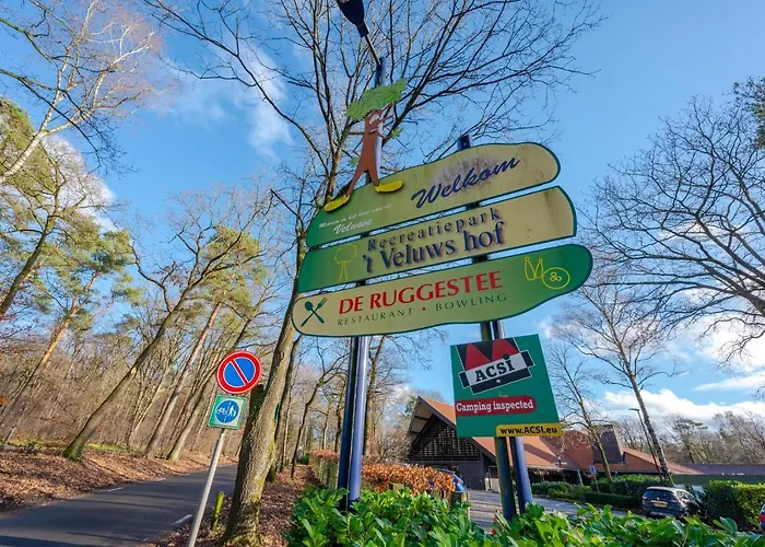 Ruime Luxe 4 Persoons Midden Op De Veluwe *