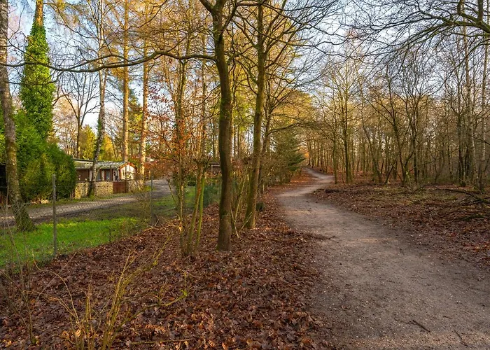 Apartment Ruime Luxe 4 Persoons Midden Op De Veluwe Hoenderloo