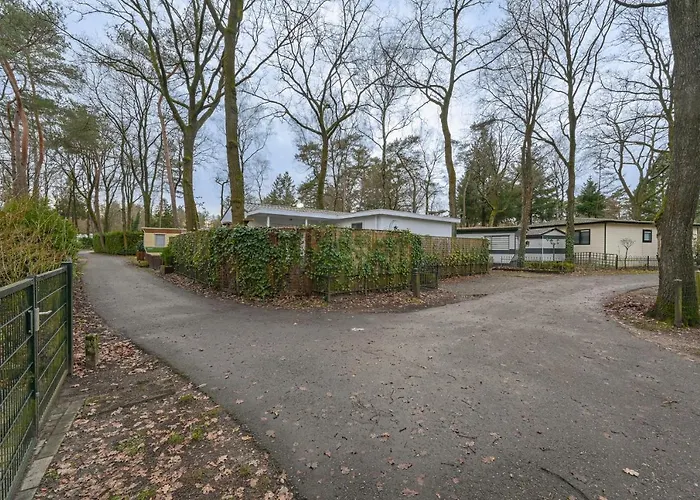 Ruime Luxe 4 Persoons Midden Op De Veluwe * Hoenderloo