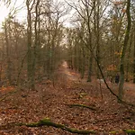 Lägenhet Ruime Luxe 4 Persoons Midden Op De Veluwe Hoenderloo