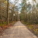 Ruime Luxe 4 Persoons Midden Op De Veluwe * Hoenderloo