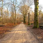 Lägenhet Ruime Luxe 4 Persoons Midden Op De Veluwe *