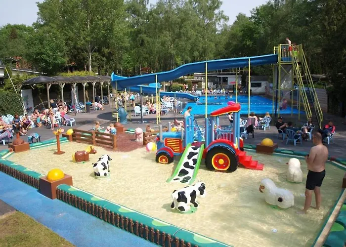 Ruime Luxe 4 Persoons Midden Op De Veluwe *