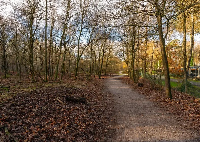 公寓 Ruime Luxe 4 Persoons Midden Op De Veluwe