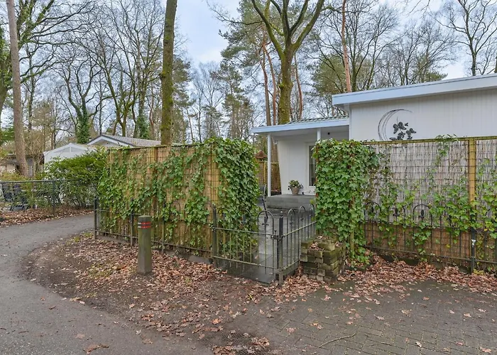 Ruime Luxe 4 Persoons Midden Op De Veluwe 霍德鲁