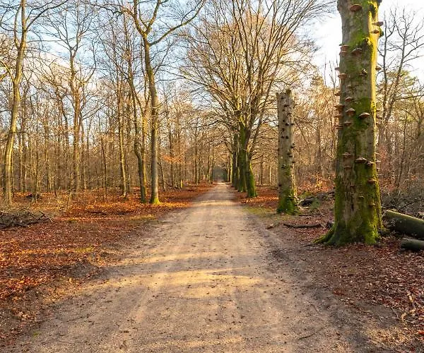 公寓 Ruime Luxe 4 Persoons Midden Op De Veluwe *